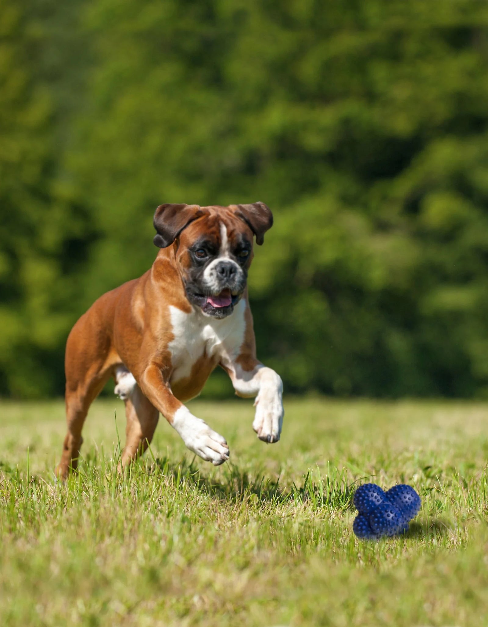 Power Play Crazy Ball Dog Toy Large/Giant - up to 50 Lbs. (1 Count)