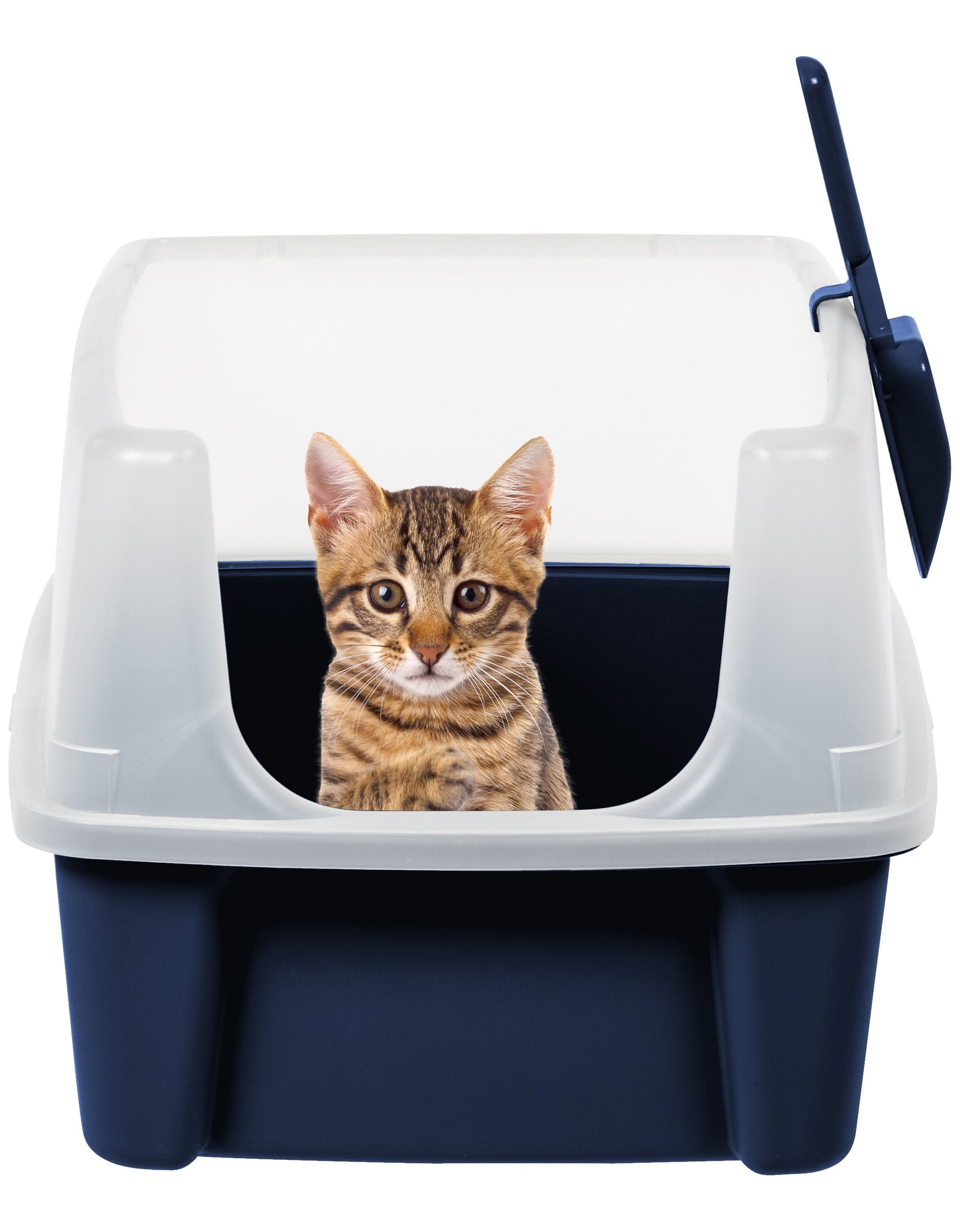 , High Sided Open Top Cat Litter Box with Scoop, Navy